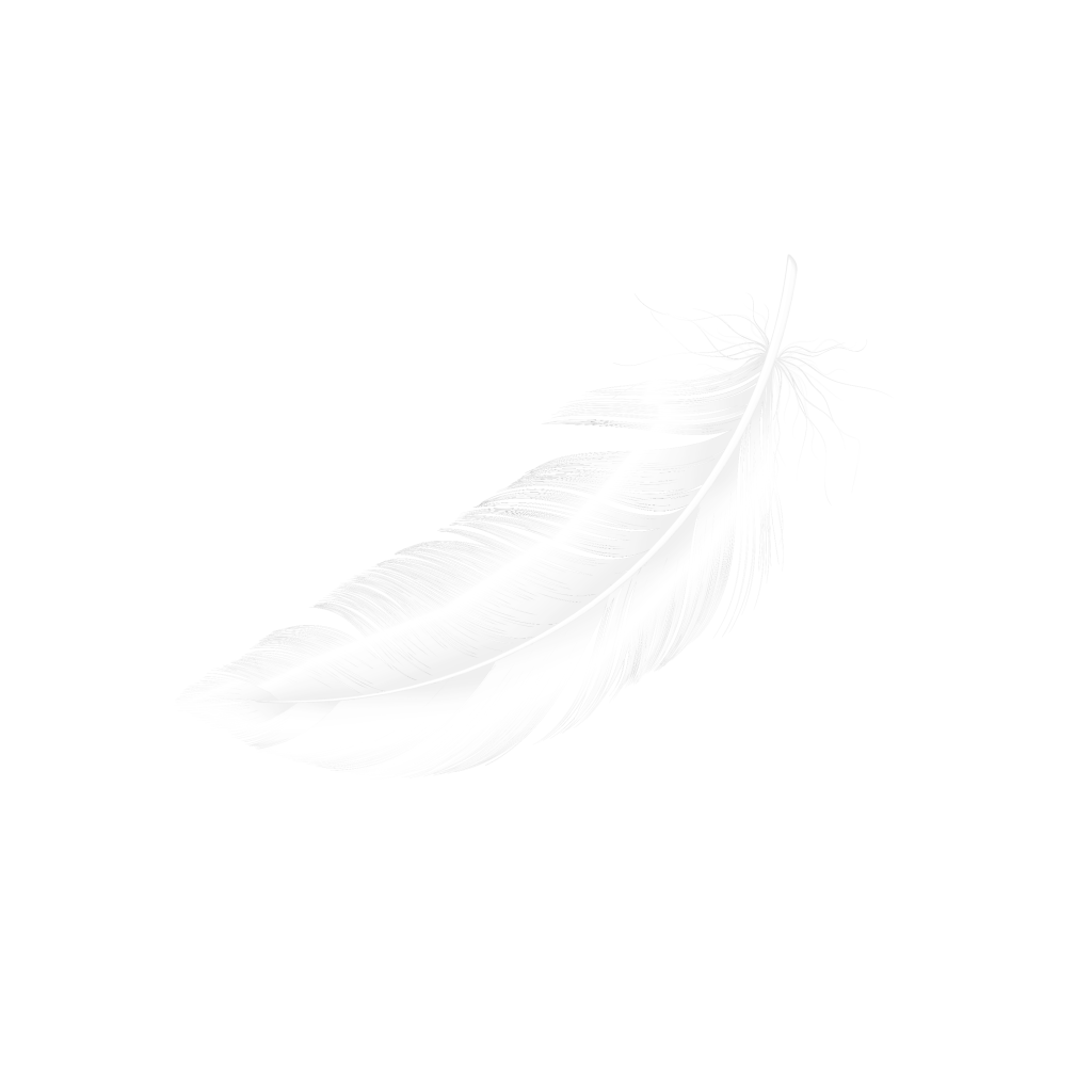 Pluma